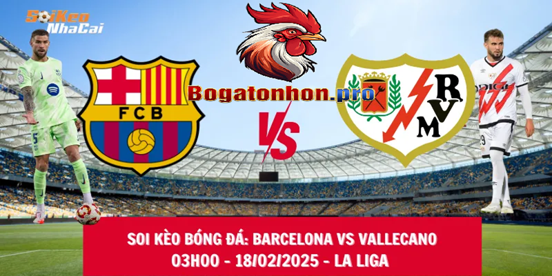 Bồ Tonhon hướng dẫn cách đọc kèo nhà cái