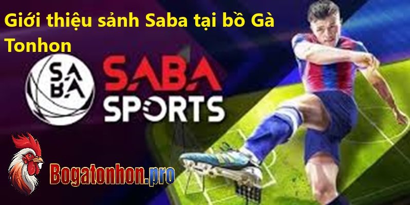 Giới Thiệu thể thao Saba bồ Tonhon Giới Thiệu thể thao Saba bồ Tonhon