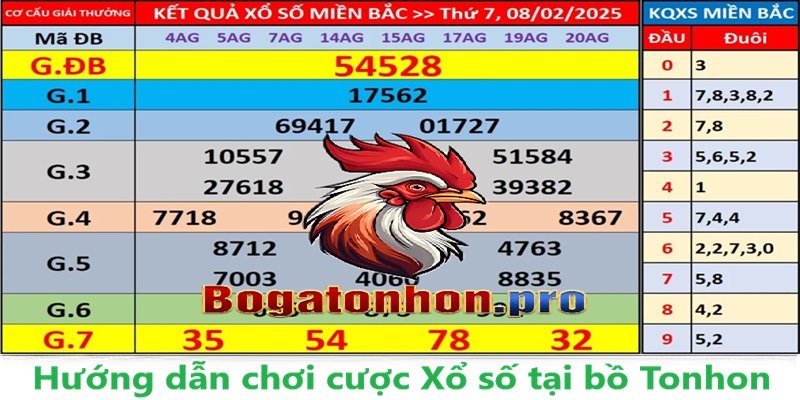 Hướng dẫn chơi xổ số miền bắc bồ Tonhon