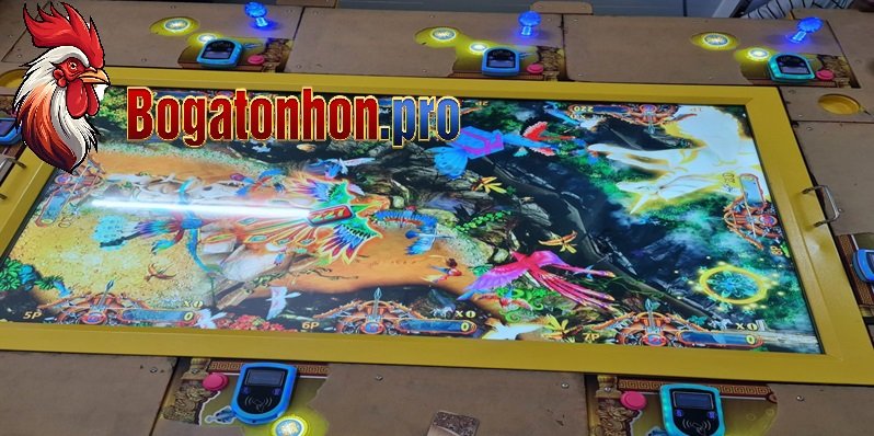 Bắn cá Tonhon Bắn cá Tonhon