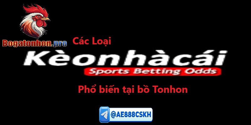 Các loại kèo nhà cái phổ biến tại bồ Tonhon