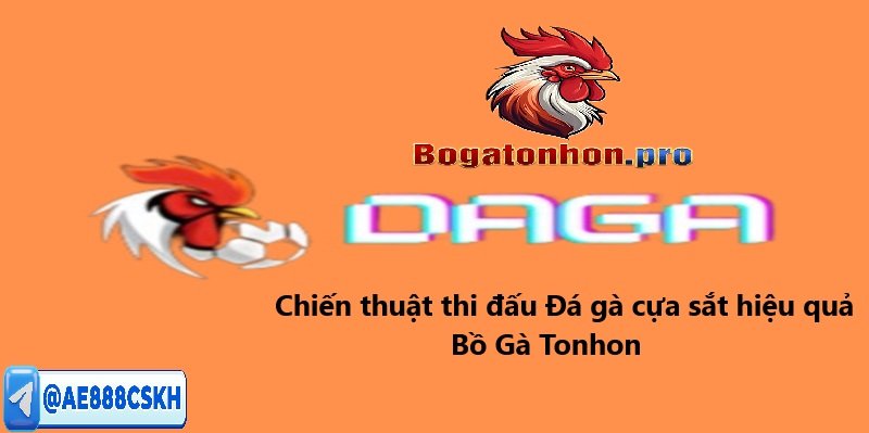 Chiến thuật cách thức chơi đá gà cựa sắt