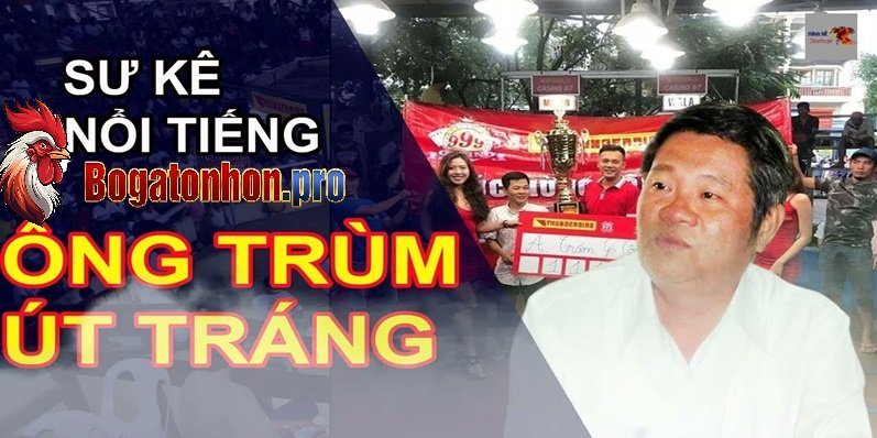 Chủ bồ gà tonhon Chủ bồ gà tonhon