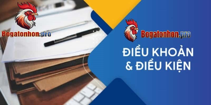 Điều khoản điều kiện giữ an toàn cho hội viên Tonhon Điều khoản điều kiện giữ an toàn cho hội viên Tonhon