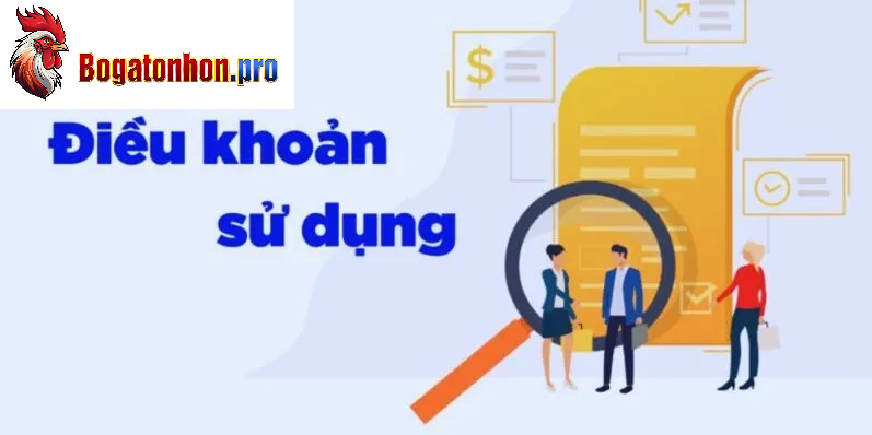 Điều khoản sử dụng bồ gà Tonhon Điều khoản sử dụng bồ gà Tonhon