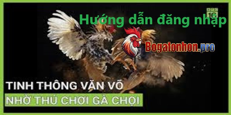 Hướng dẫn đăng nhập