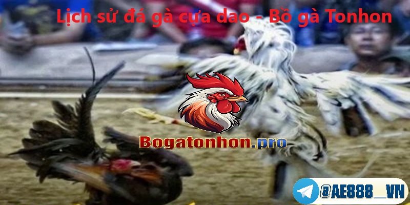Lịch sử đá gà cựa dao