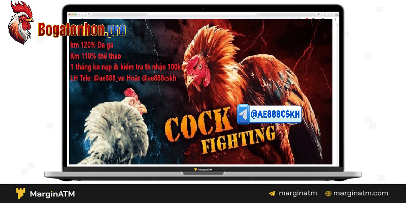 Lợi ích khi tham gia đá gà tại Tonhon Lợi ích khi tham gia đá gà tại Tonhon