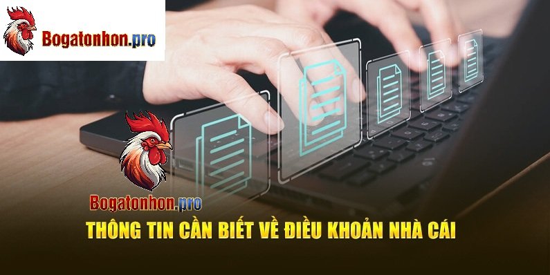 Thông tin cần biết về điều khoản Tonhon Thông tin cần biết về điều khoản Tonhon