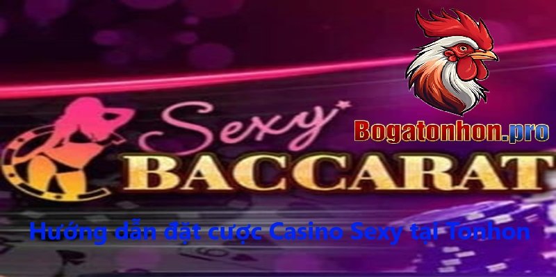 Hướng dẫn cược Casino Sexy Tonhon