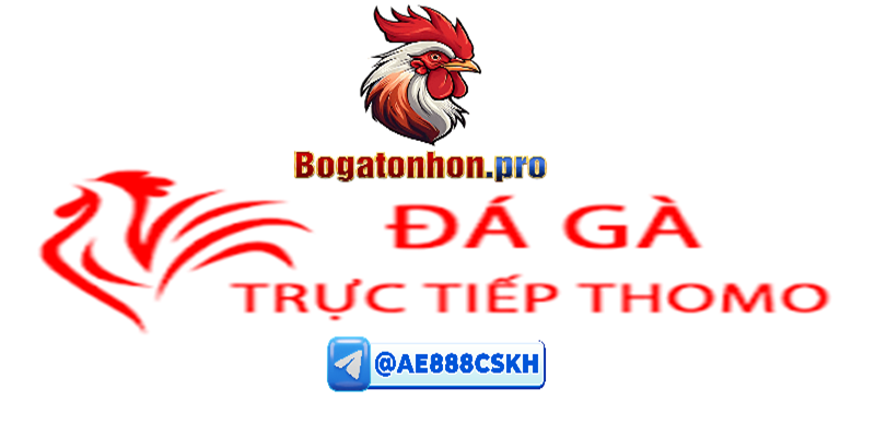 Tham gia trực tiếp đá gà tonhon