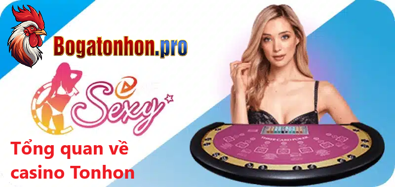 Tổng quan về sảnh game Casino sexy