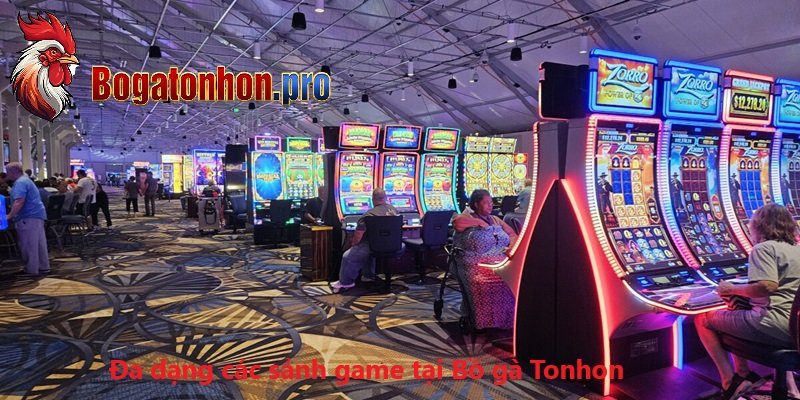 Đa dạng các sảnh game tại Bồ gà Tonhon