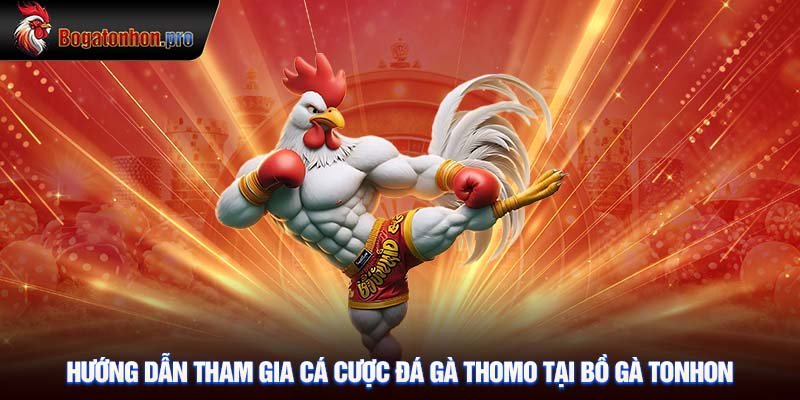 Hướng dẫn tham gia cá cược đá gà Thomo tại Bồ Tonhon