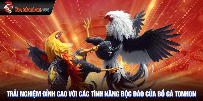 Trải nghiệm đỉnh cao với các tính năng độc đáo của Bồ gà Tonhon
