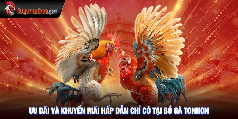 Ưu đãi và khuyến mại hấp dẫn chỉ có tại Bồ Tonhon