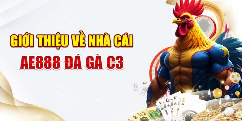 Giới Thiệu về Nhà cái AE888 Đá gà C3