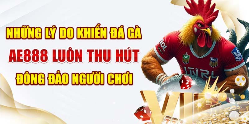Những lý do khiến Đá gà Ae888 luôn thu hút đông đảo người chơi