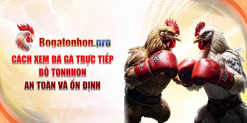 Cách xem đá gà trực tiếp Bồ Tonhon an toàn và ổn định