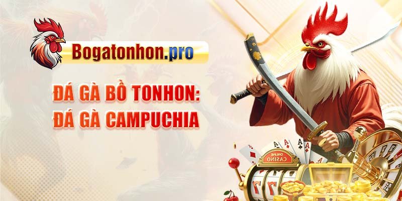 Đá gà bồ tonhon - Đá gà Campuchia