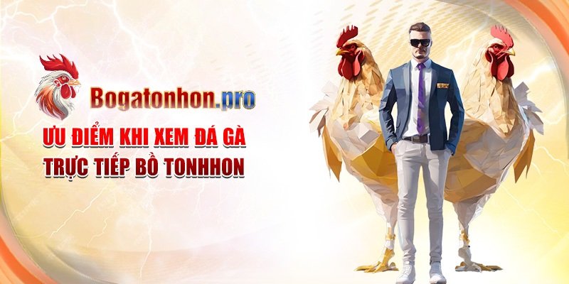Ưu điểm khi xem đá gà trực tiếp Bồ Tonhon
