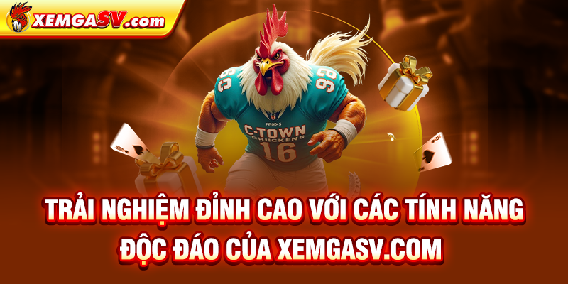 Trải nghiệm đỉnh cao với các tính năng độc đáo của Bồ gà Tonhon