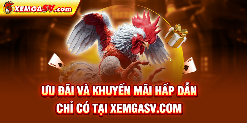 Ưu đãi và khuyến mại hấp dẫn chỉ có tại Bồ Tonhon