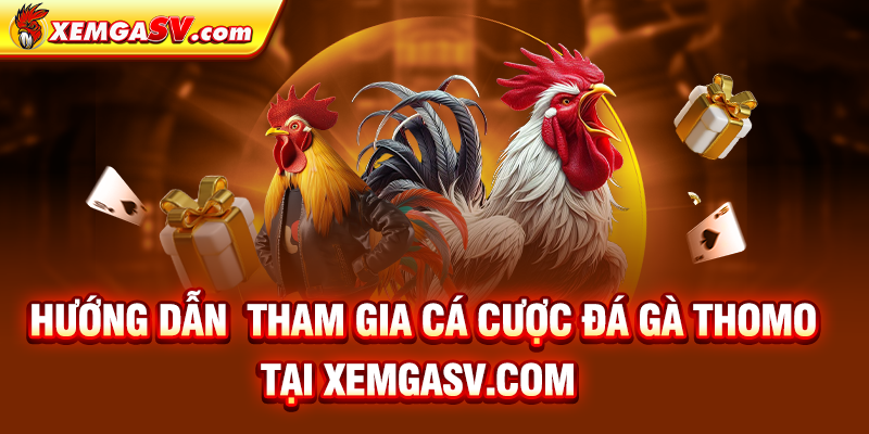 Hướng dẫn tham gia cá cược đá gà Thomo tại Bồ Tonhon