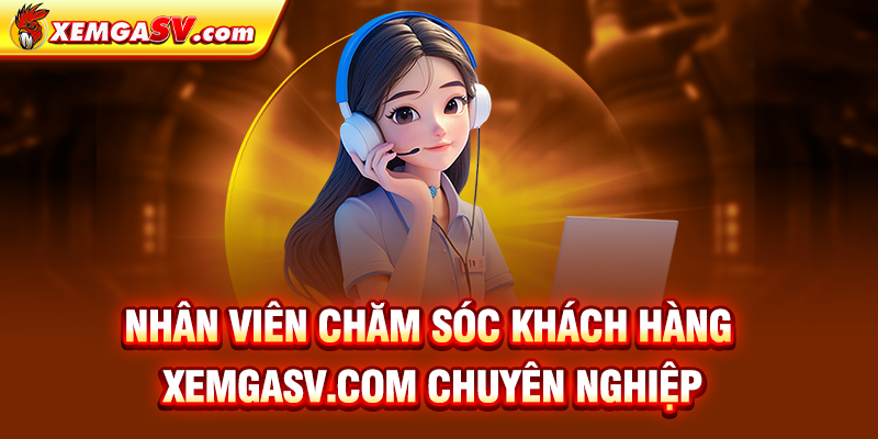 Nhân viên chăm sóc khách hàng Bồ Tonhon chuyển nghiệp