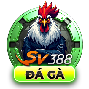 Đá gà bồ tonhon