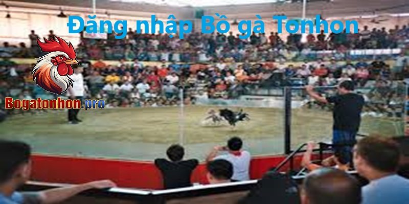 Đăng nhập Bồ gà Tonhon