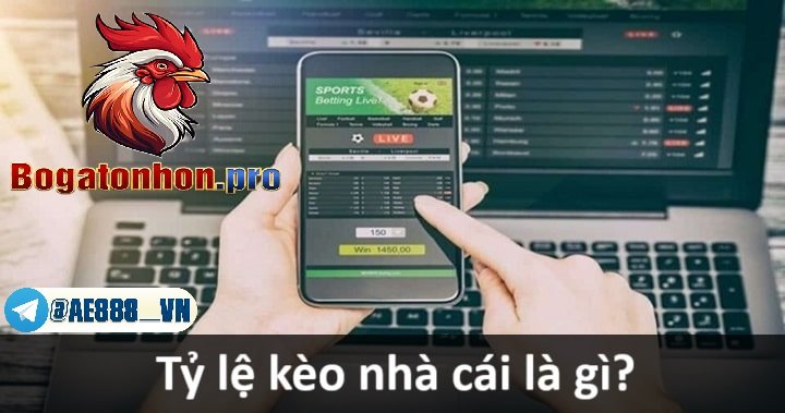 Kèo nhà cái Là gì?
