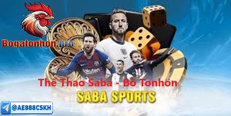 Thể thao SaBa tại Bồ gà Tonhon