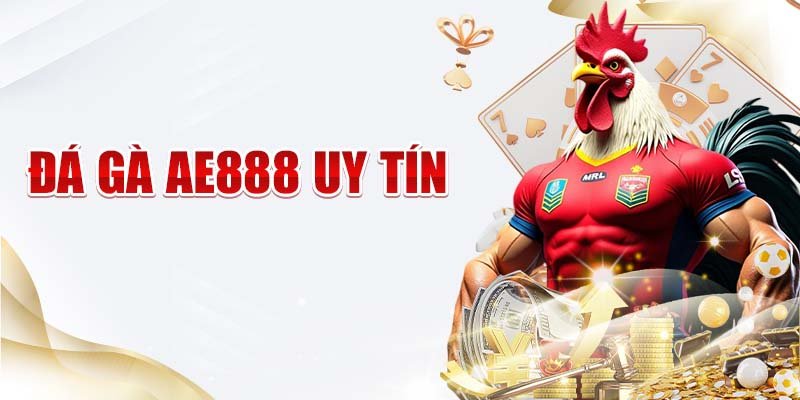 Đá gà Ae888